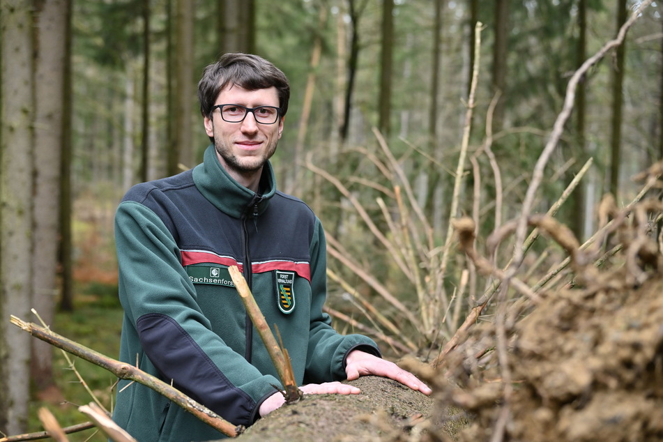 Förster Alexander Wagner (30) aus Einsiedel ist ebenfalls ein Verfechter des natürlichen Waldumbaus.