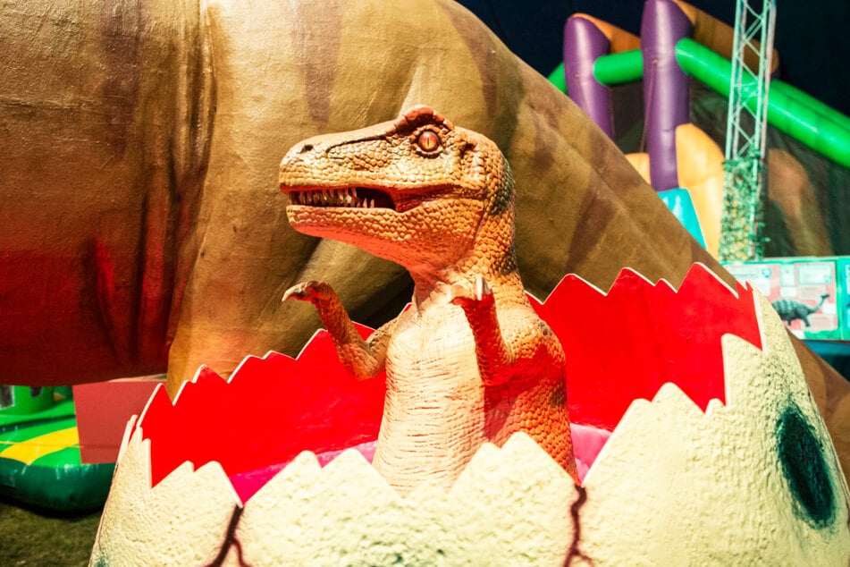 Neben diesem "Kleinen" gibt es noch viele andere Dinosaurier in Plauen zu entdecken.