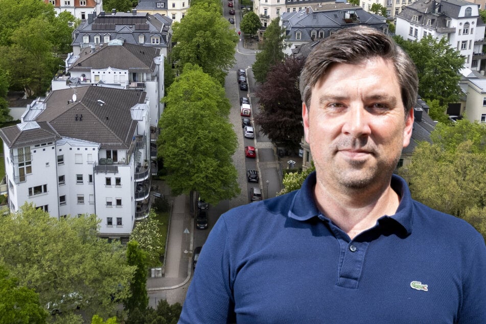 Neue Bäume für geplante Prachtallee in Dresden: Hier wird Parken eingeschränkt