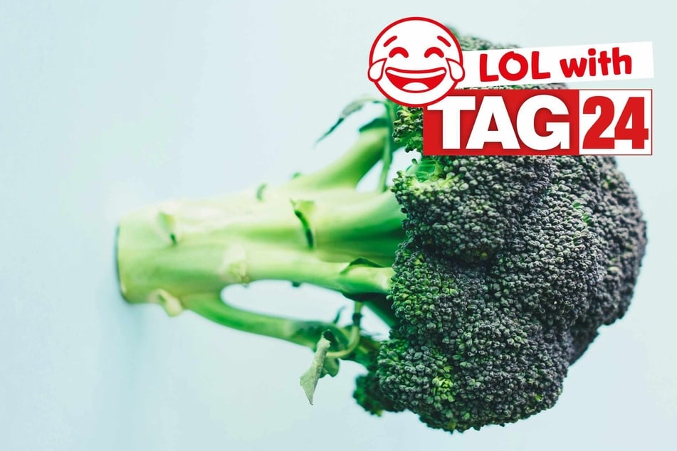 Joke of the Day for January 13, 2026: A yummy funny.