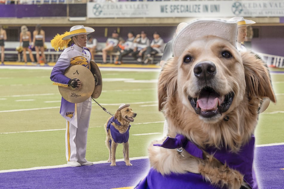 Adorable service dog becomes star of the college marching band!