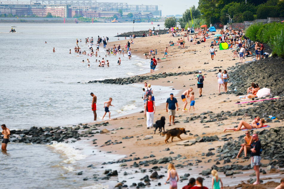 Angesichts der Hitze suchen einige Menschen Abkühlung und ein Sonnenbad am Elbstrand. Doch aus Sicherheitsgründen ist die Elbe nicht zum Baden geeignet.