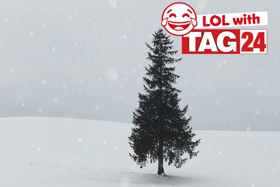 Joke of the Day for December 14, 2025: 12 days of Christmas jokes are here