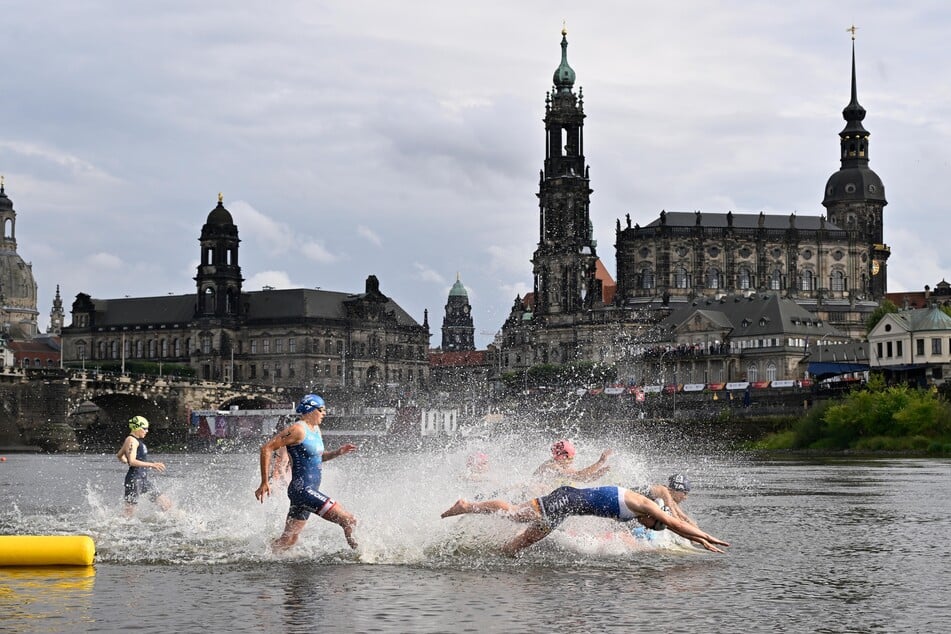 Die Triathleten stürzten sich am Donnerstag in die Elbe.