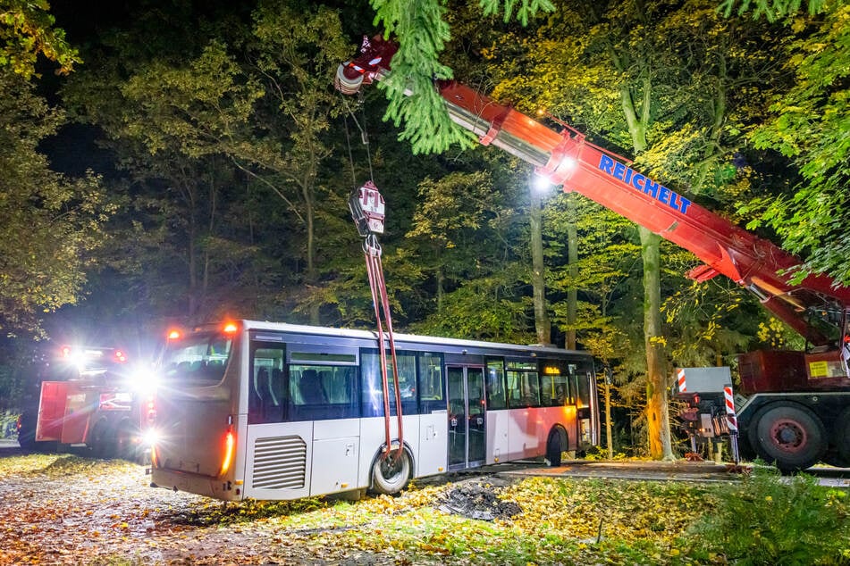 Während die Straße zwischen Lohmen und Dobra aufgrund des Unfalls gesperrt war, landete ein Bus im Straßengraben.