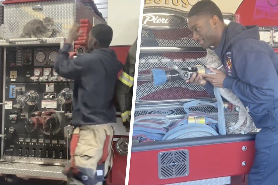 Katze Peanut unterstützt ihren Besitzer Lamine Fofana fleißig bei der Arbeit auf der Feuerwache.