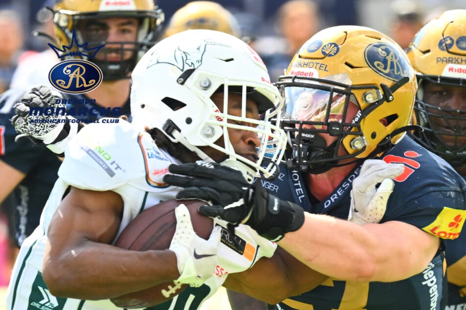 Keine Experimente! Das sind die nächsten Rückkehrer bei den Dresden Monarchs