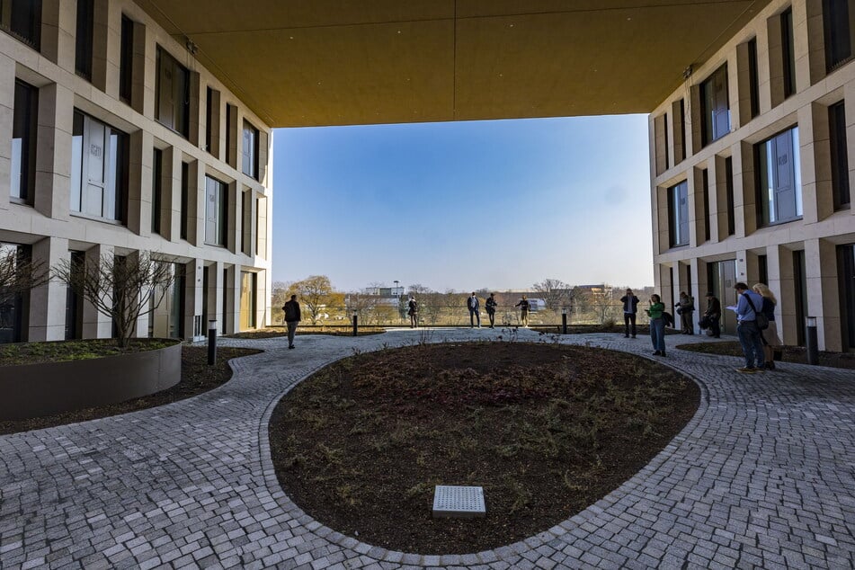 Arbeit an der frischen Luft: Auch der begrünte Dachgarten mit Balkon in Blickrichtung Dynamo-Stadion kann genutzt werden.