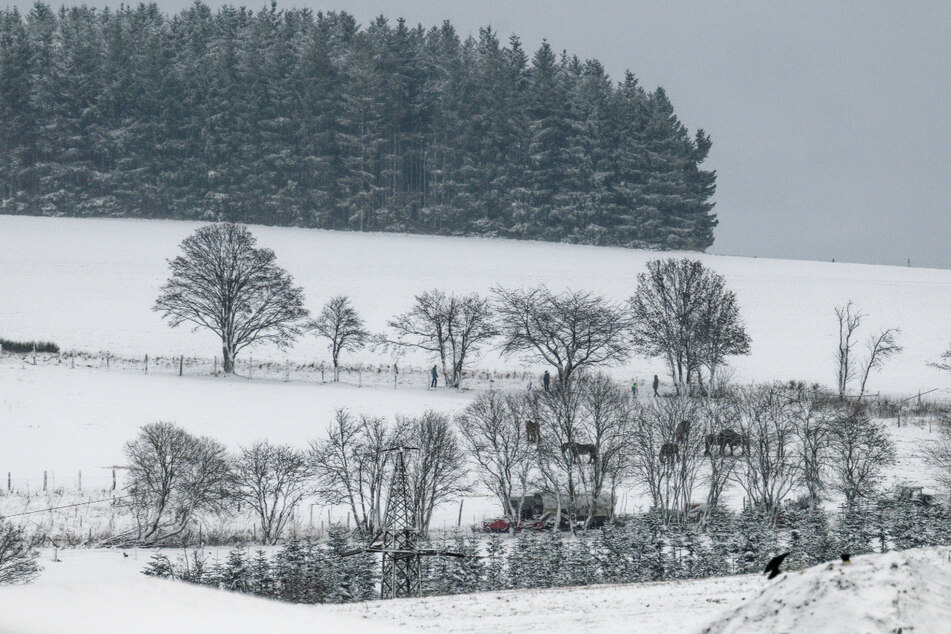 Eine ganz dünne Schneeschicht lag am Samstag im Sauerland auf den Wiesen.