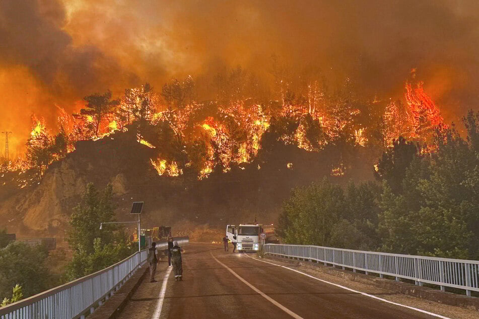 Vor wenigen Tagen: Ein Waldbrand wütet in einem Waldgebiet in der Nähe des Dorfes Cavuslar im Bezirk Karabuk im Nordwesten der Türkei.
