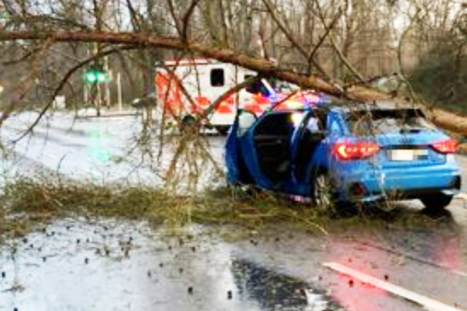 Ein schwerer Sturm ließ bei Dietzenbach einen Baum auf ein fahrendes Auto stürzen.