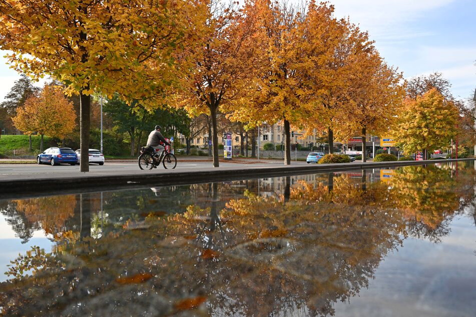 Die Bäume am Thüringer Landtag in Erfurt haben sich bereits bunt gefärbt: Der Herbst kommt nach Thüringen zurück.