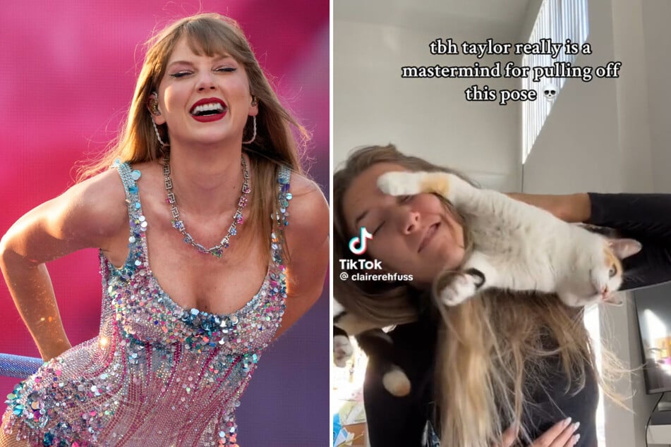 Taylor Swift fans hilariously fail to recreate her TIME cover with their cats