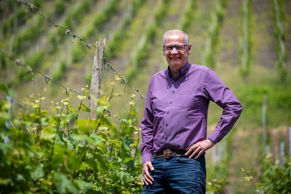Fernsehmoderator und Winzer Günther Jauch (70) steht vor seinem Weinberg in Kanzem an der Saar. (Archivfoto)