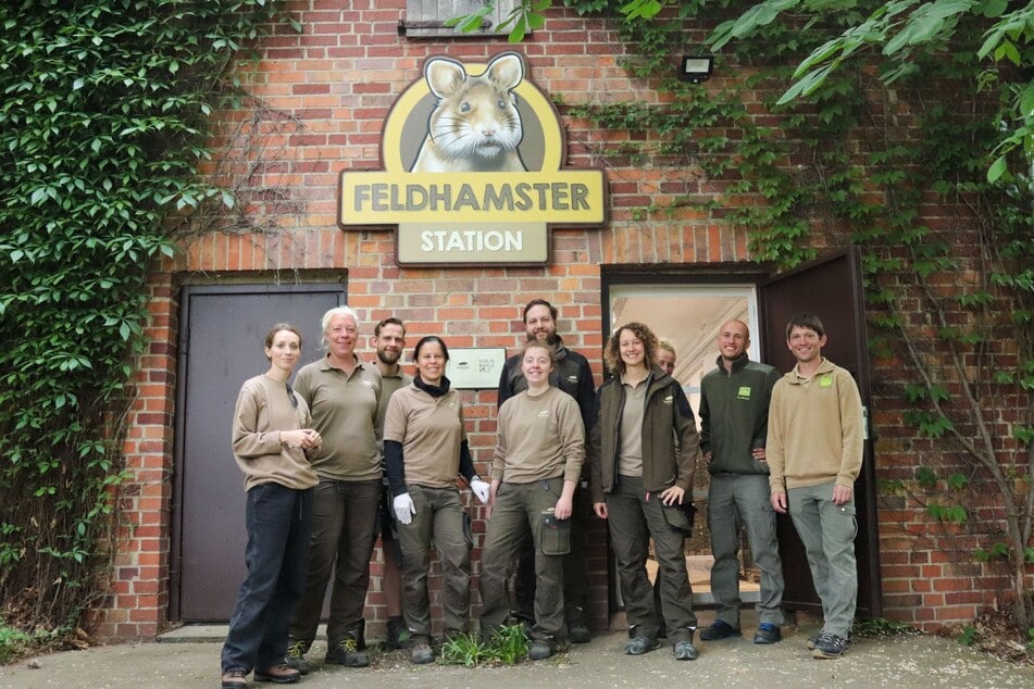 Die "Feldhamster-Station" ist seit 2022 im Tierpark Berlin eröffnet.