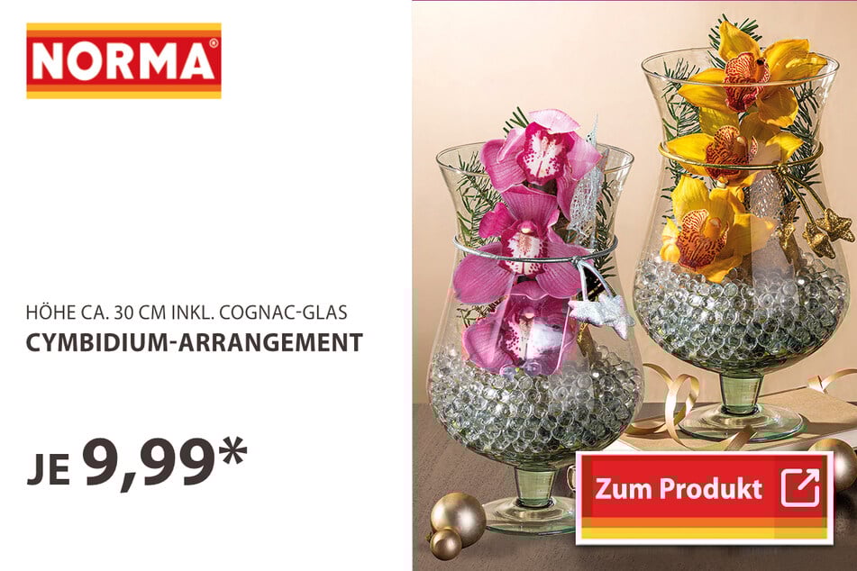 Cymbidium-Arragements