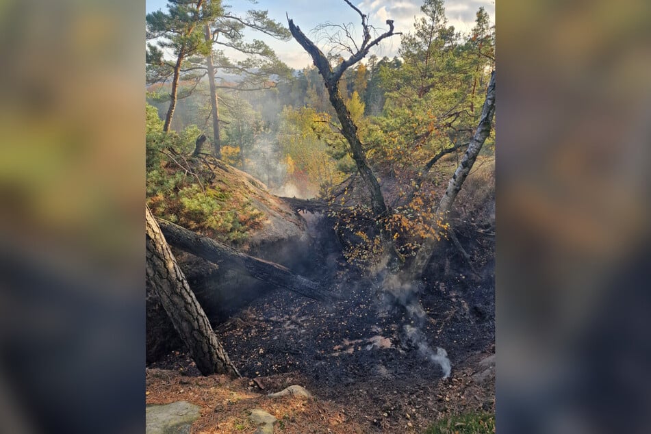 Übrig blieb der verkohlte Waldboden: Rund 24 Stunden nach Ausbruch des Feuers konnte der Einsatz vor Ort beendet werden.
