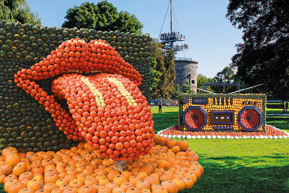 Nach der Kürbisausstellung im egapark folgt am Freitag die Kürbisernte.