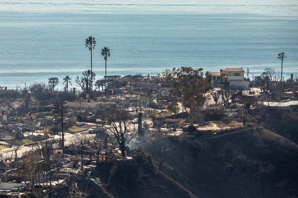 The fires in Los Angeles have left at least 11 people dead and destroyed around 10,000 homes and other buildings.