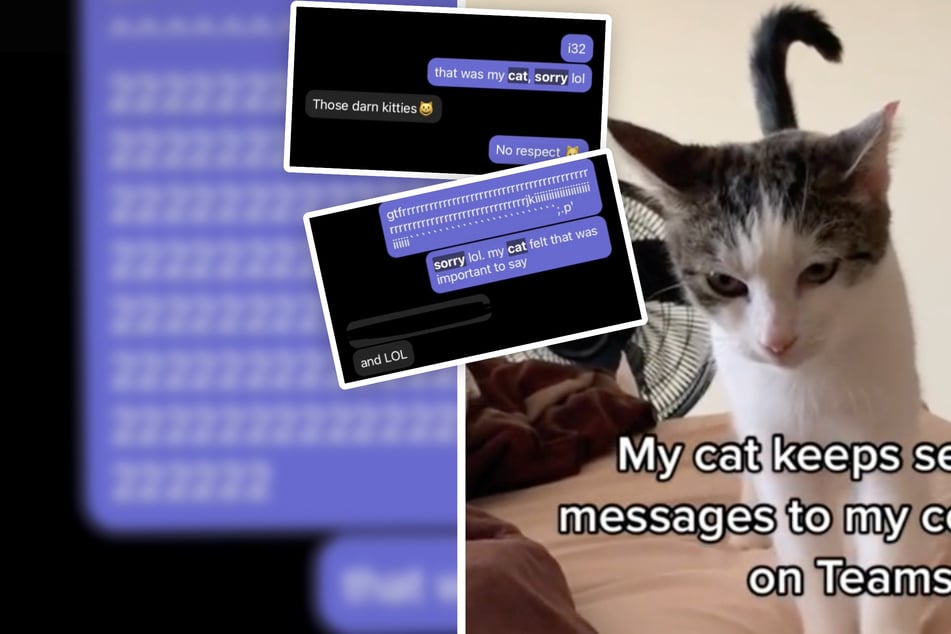 Cat chat: Kitty regularly sends messages to her owner's coworkers