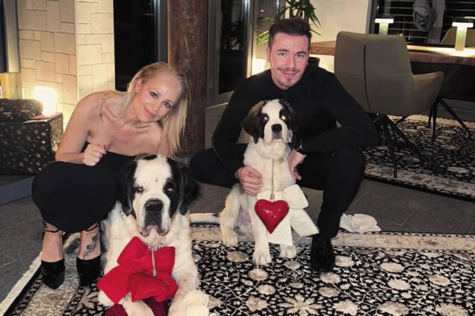Gemeinsam mit den beiden Hunden und Michelles jüngster Tochter Mia lebt das Schlager-Traumpaar im Saarland.