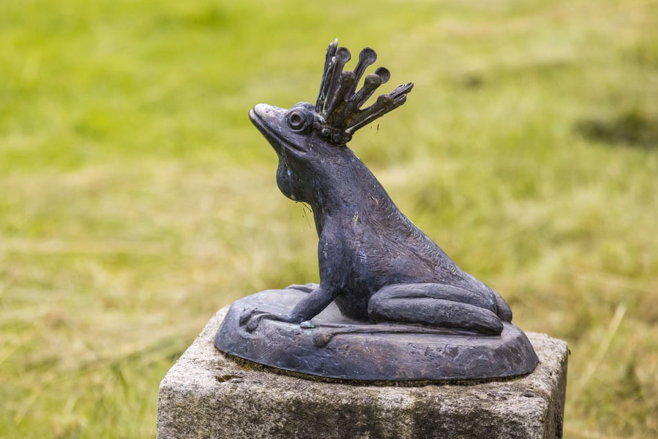 Auch dieser Froschkönig "versteckt" sich unterhalb der Mühle.