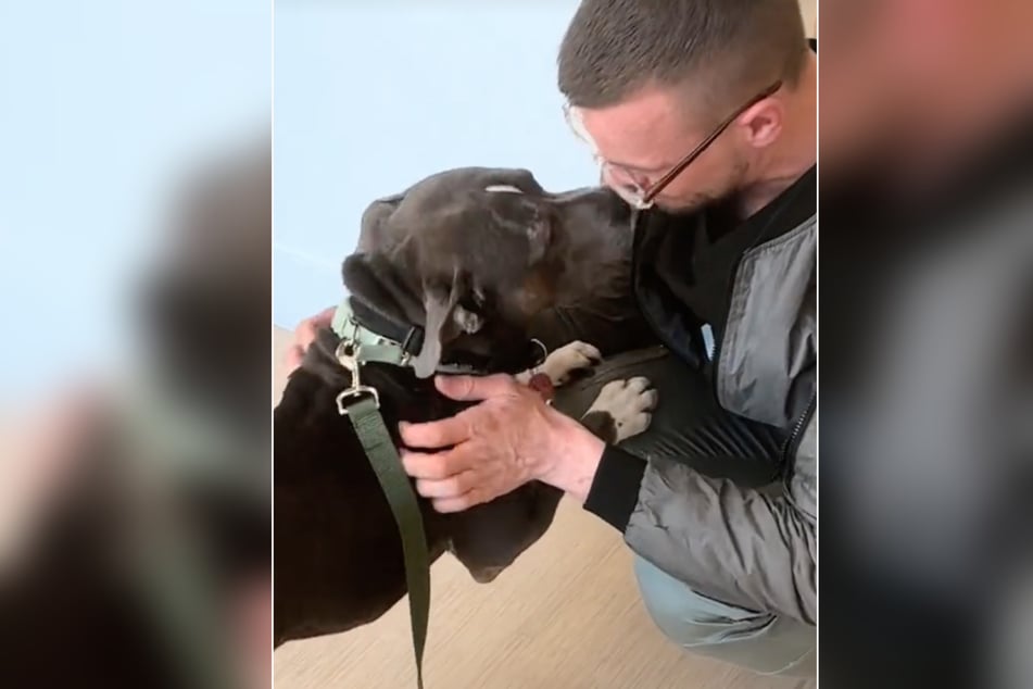 Glücklich wird Bishop von seinem Besitzer wieder in die Arme geschlossen.