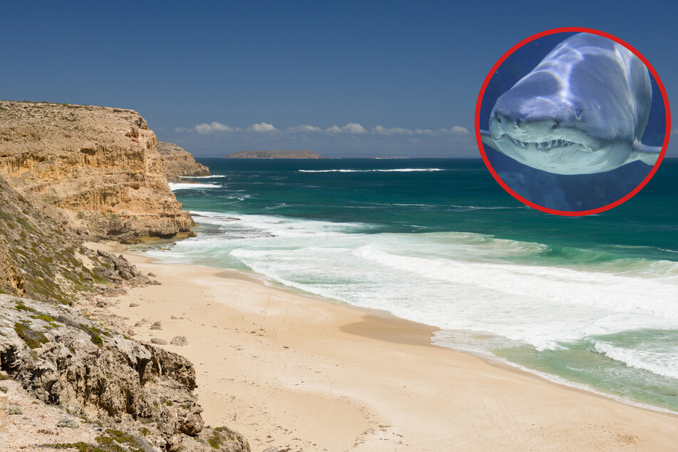 A 14-year-old boy was killed in a shark attack off Ethel Beach in South Australia on Thursday afternoon, local time.