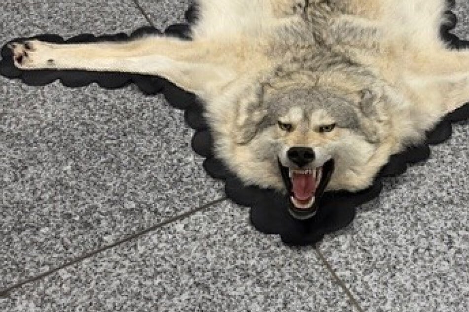 Frankfurt: Flughafen Frankfurt: Harmloser Kleidersack entpuppt sich als Artenschutz-Verstoß