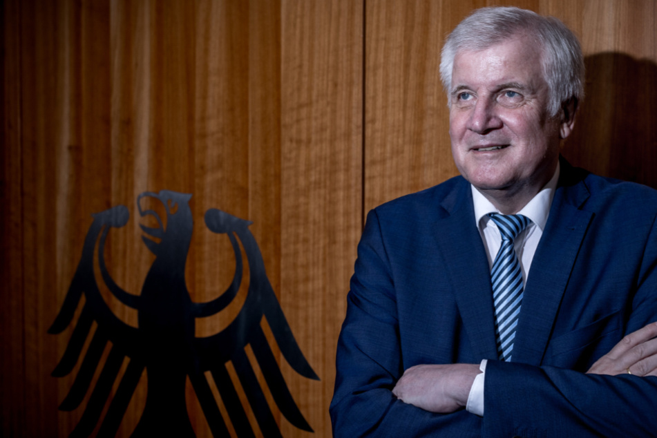 Verfassungsrichter geben AfD-Klage gegen Horst Seehofer statt