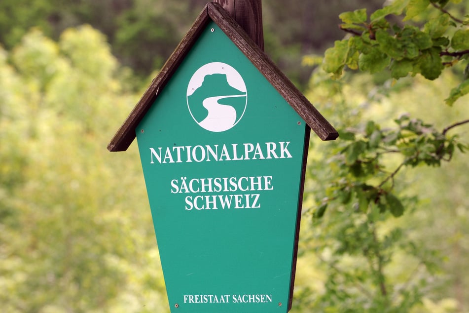 Die Gemeinde Lohmen möchte in der Region mehr für den Tourismus tun, doch die Nationalparkverordnung behindere viele Bauvorhaben.