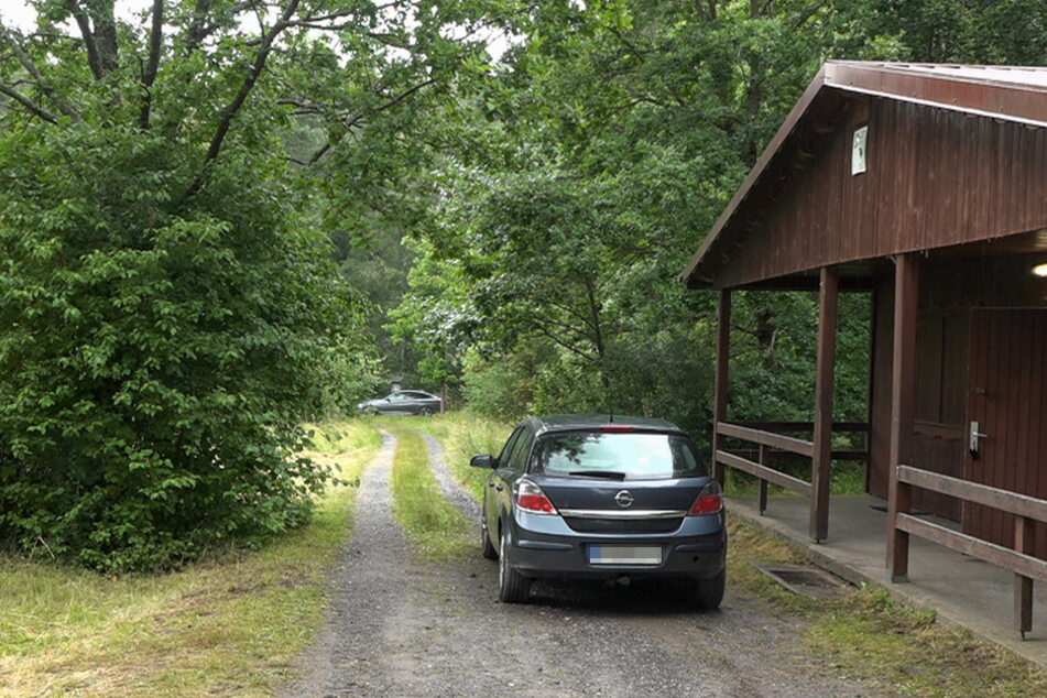 Der Jugendliche war wohl mit einigen Freunden im Wald unterwegs.