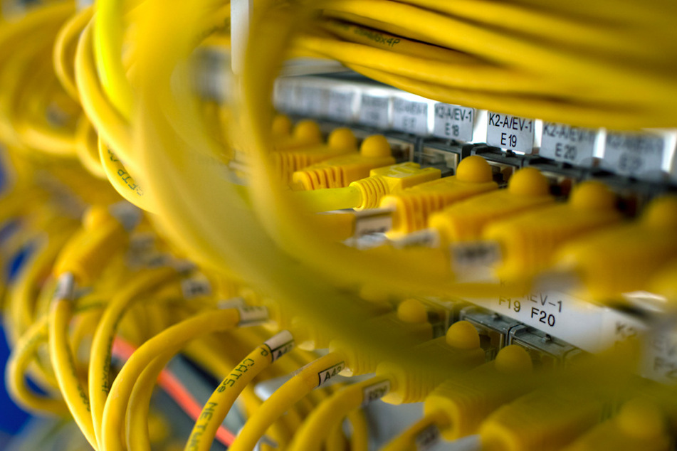 Zahlreiche Netzwerkkabel stecken in Routern in einem Serverrraum. (Symbolbild)