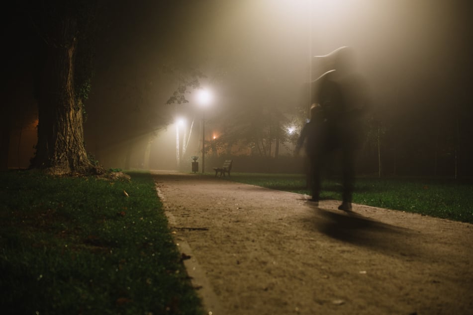 Die Tat geschah nachts im Harburger Stadtpark. (Symbolbild)