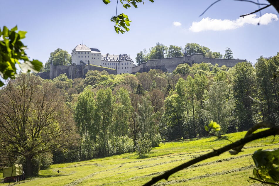 Blick auf die Festung Königstein.