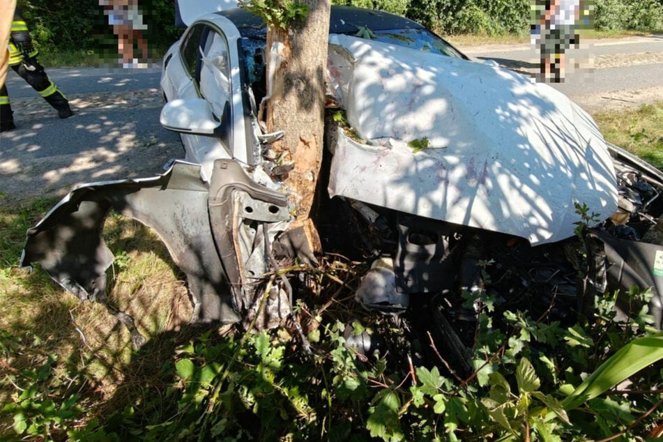 Heftiger Crash: Audi kracht gegen Baum, Beifahrer schwer verletzt