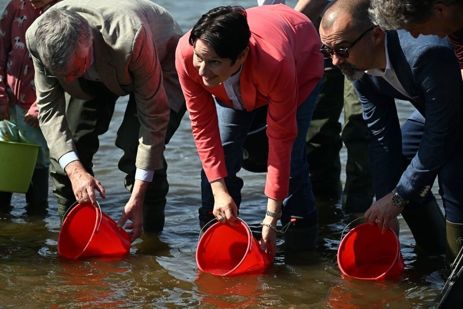 Silke Gorißen (CDU, M), NRW-Ministerin für Landwirtschaft und Verbraucherschutz, setzt zusammen mit den Staatssekretären Erwin Manz (l) aus Rheinland-Pfalz und Daniel Köfer aus Hessen Maifischlarven im Rhein aus.