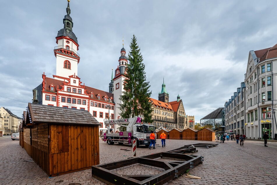 Einige Chemnitzer spotteten im vergangenen Jahr über den Chemnitzer Weihnachtsbaum - zu licht, zu schief, zu klein.