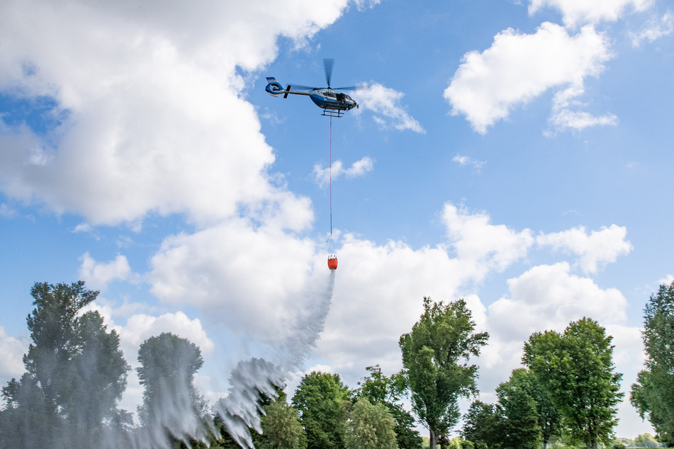 Drei Hubschrauber sollen künftig für die Löschung von Waldbränden bereitstehen.