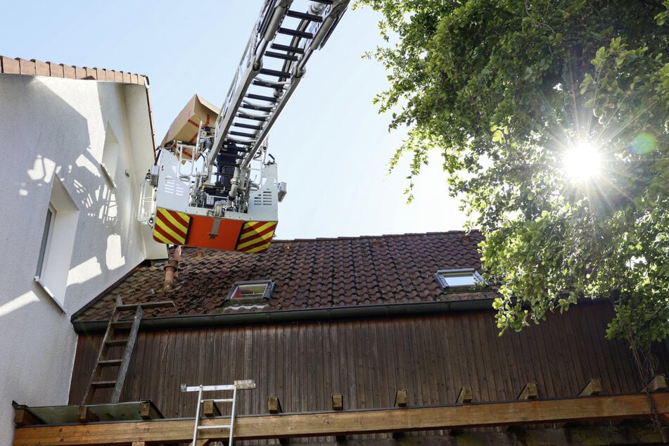 Mit einer Drehleiter rückte die Solinger Feuerwehr aus, um vier Waschbär-Babys von einem Vordach zu holen.