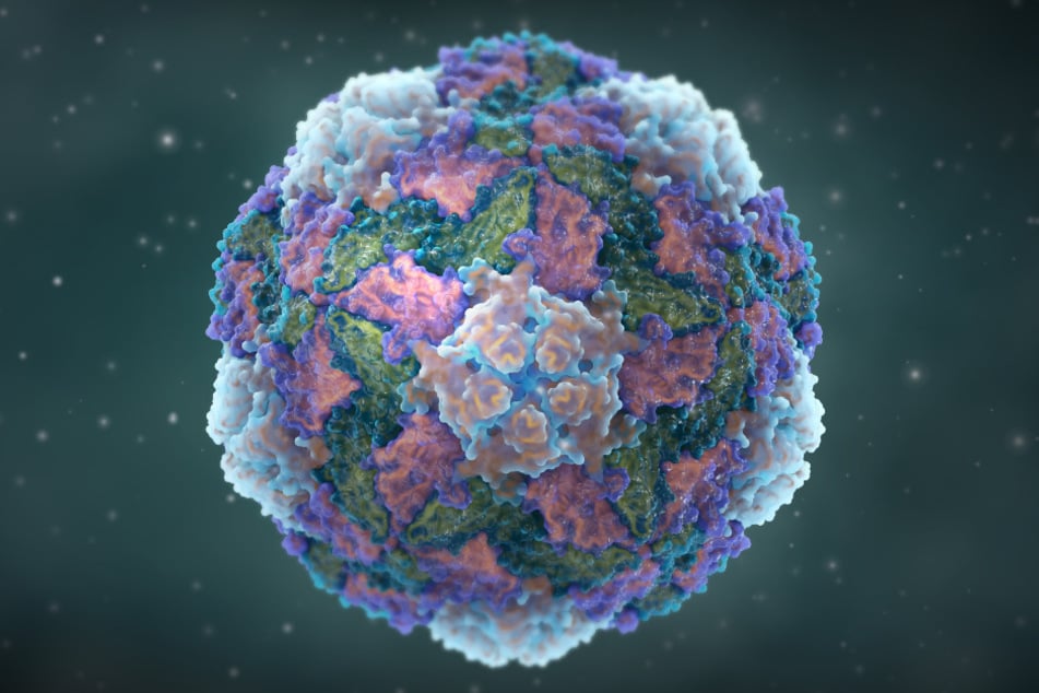 Das Hepatitis-A-Virus wird vor allem durch mangelnde Hygiene übertragen.