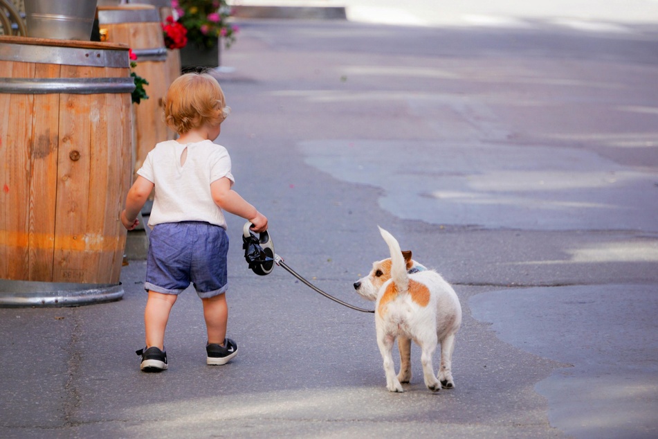 Hunde und Kleinkinder haben doch mehr Ähnlichkeit, als man bisher annahm.