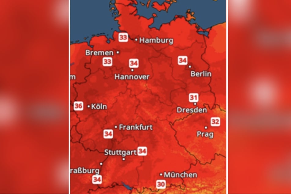 Am Wochenende klettern die Temperaturen auf hitzige 37 Grad.