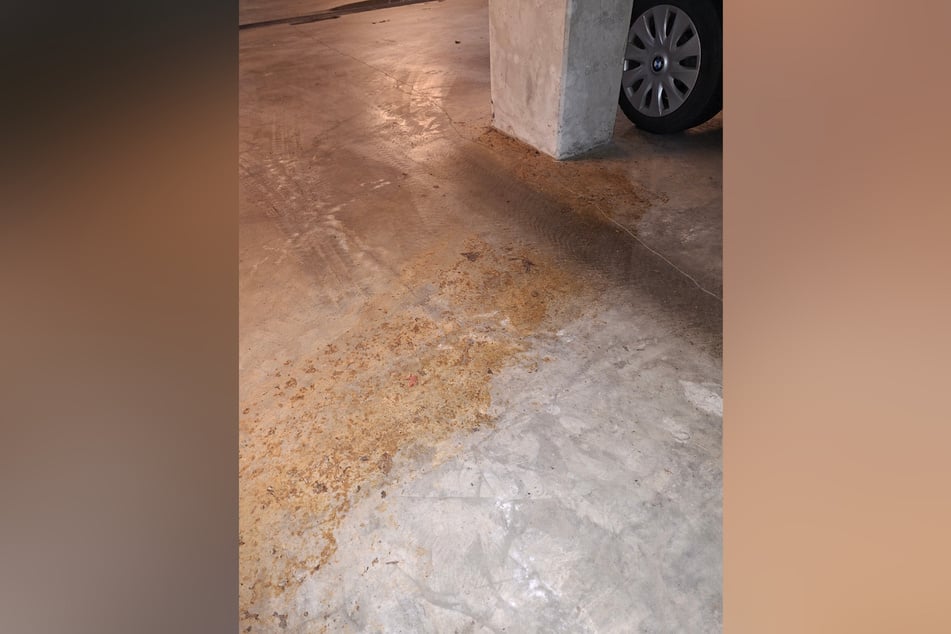 Seit Auftreten der unhygienischen Zustände wurde bislang offenbar nichts unternommen, um die Tiefgarage zu reinigen.