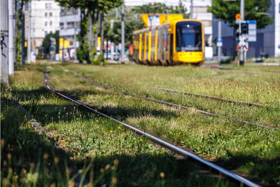 In einer Straßenbahn nach Prohlis kam es am Donnerstagmorgen zu einem ekelhaften Vorfall. (Symbolbild)