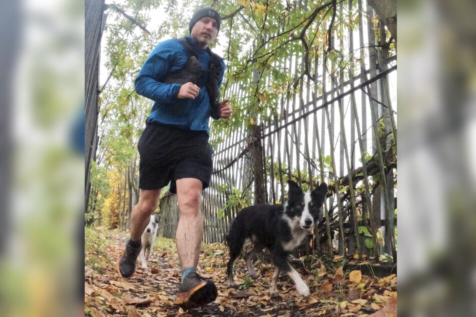 Robinsons Marathon-Läufe am Morgen sind für die beiden Hunde der perfekte Start in den Tag.