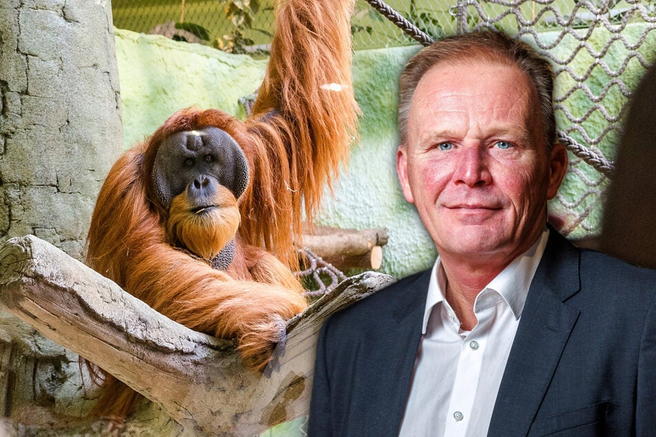 Zu wenige Besucher: Dresdens Zoo bekommt eine Millionenspritze