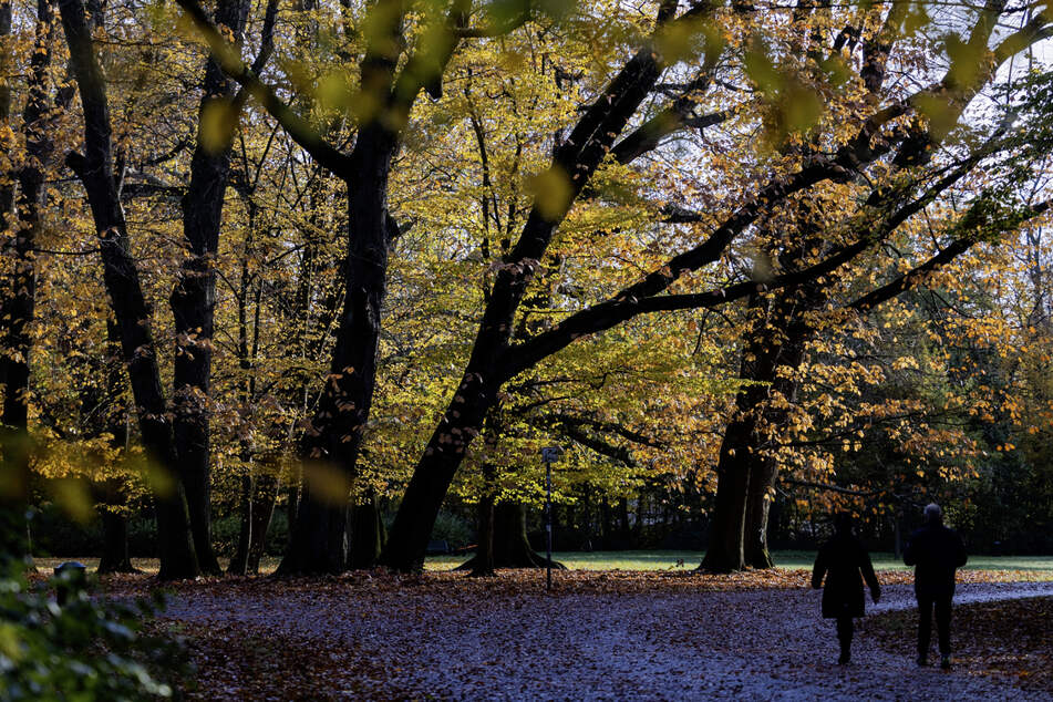 Liegen hier Bombenblindgänger im Boden? Kölner Park muss zeitweise gesperrt werden