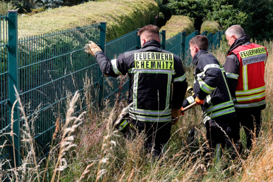 Chemnitz: Tierischer Einsatz: Anwohner entdecken Schlange und alarmieren die Feuerwehr