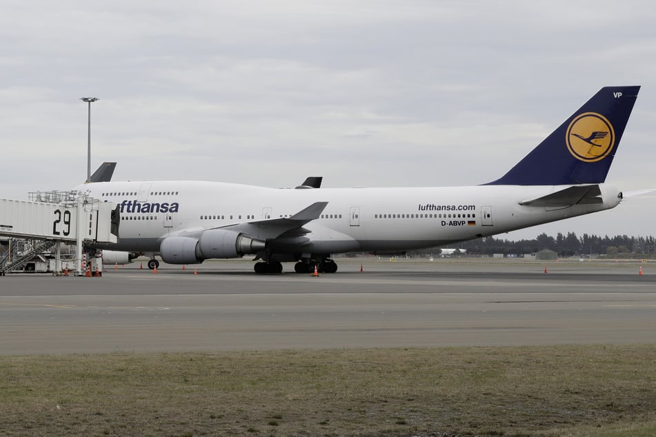 Ein Flugzeug der deutschen Lufthansa steht am Flughafen in Neuseeland. Tausende Urlauber warten auf ihre Rückkehr.